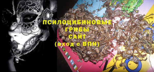 MDMA Новодвинск
