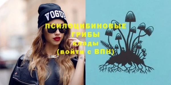 молекула духа Новозыбков