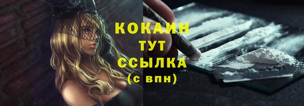 твердый Новокубанск