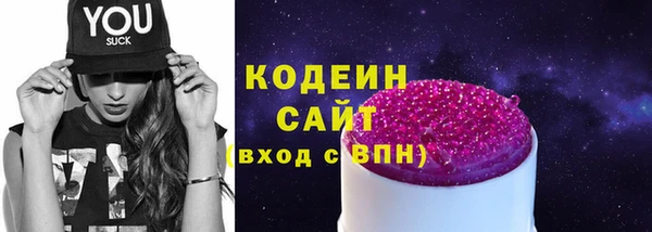 молекула духа Новозыбков