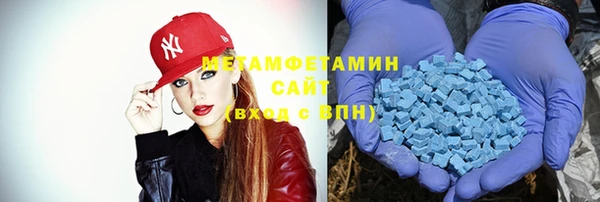 шишки Болотное