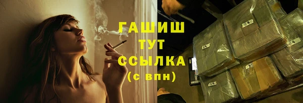молекула духа Новозыбков