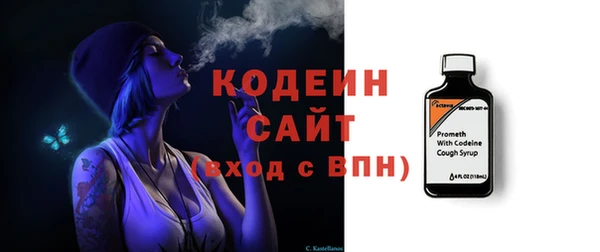 молекула духа Новозыбков