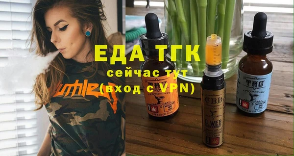 молекула духа Новозыбков
