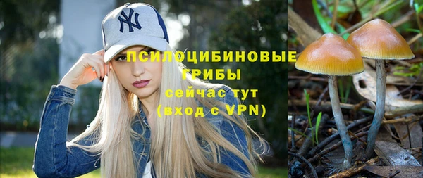 молекула духа Новозыбков