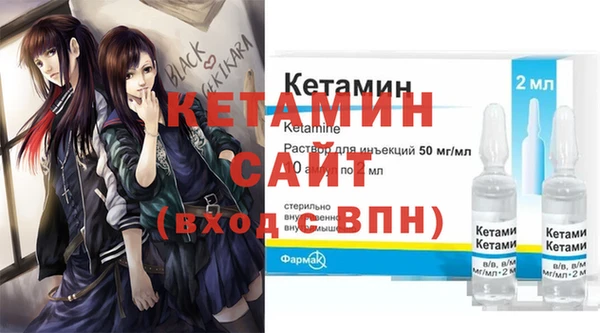 молекула духа Новозыбков