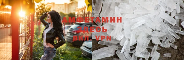 молекула духа Новозыбков