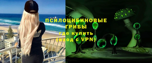 ешки Нефтегорск
