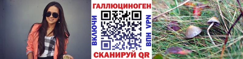 Псилоцибиновые грибы мицелий  Нюрба 